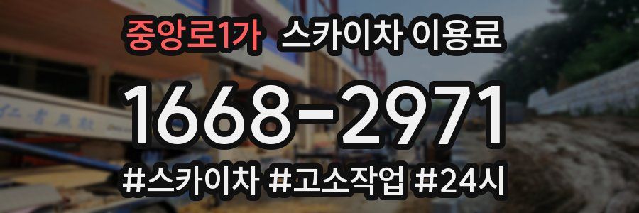 중앙로1가 스카이차 이용료