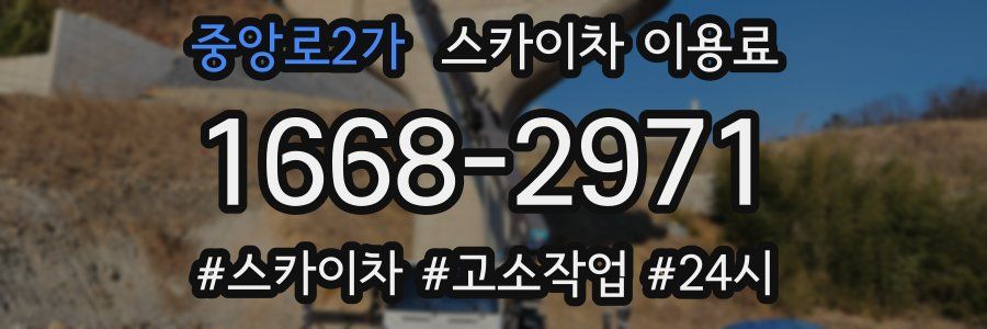 중앙로2가 스카이차 이용료