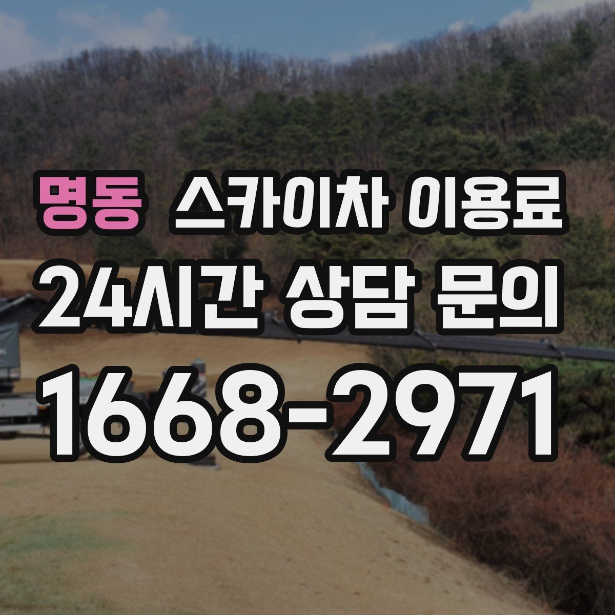 명동 스카이차 이용료 비교 시 확인해야 할 핵심 항목
