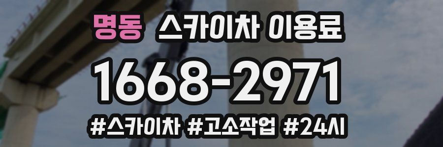 명동 스카이차 이용료