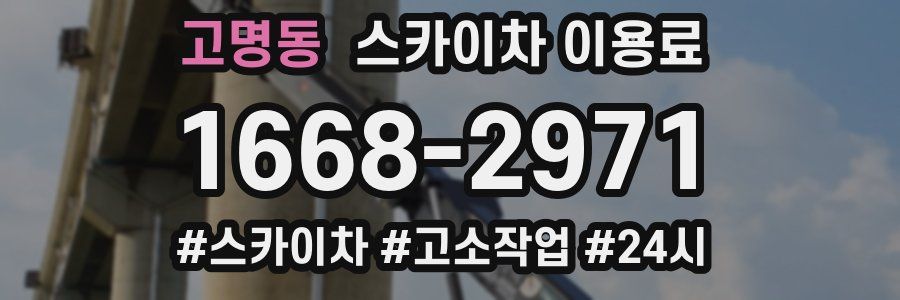 고명동 스카이차 이용료
