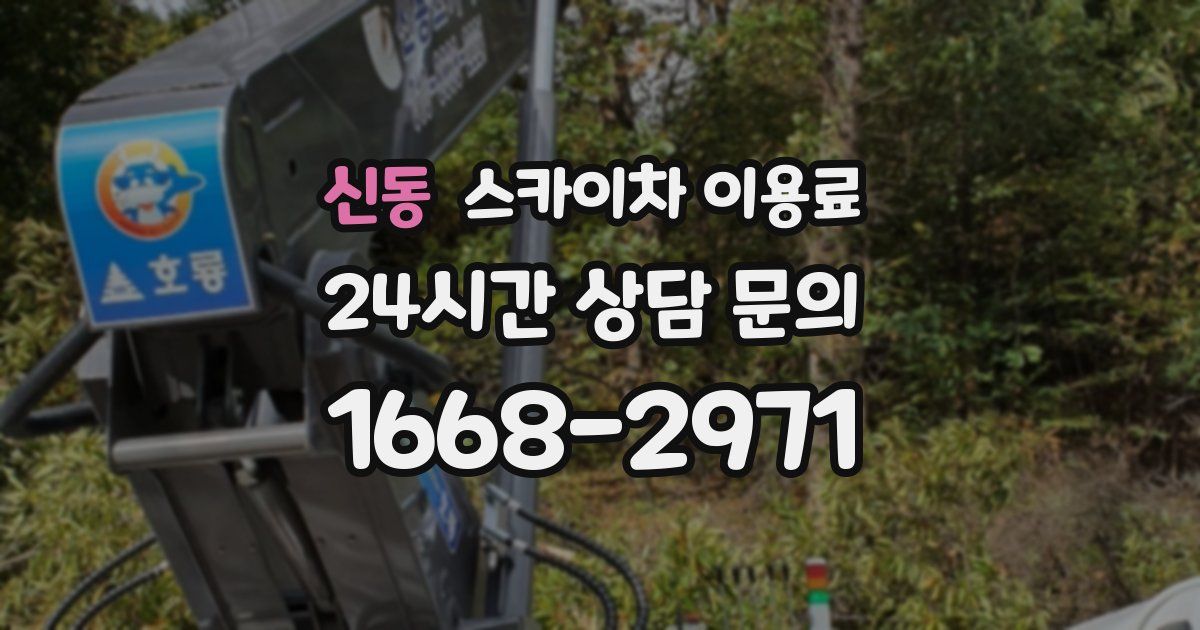 신동 스카이차 이용료