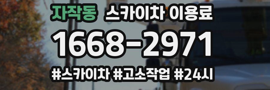 자작동 스카이차 이용료