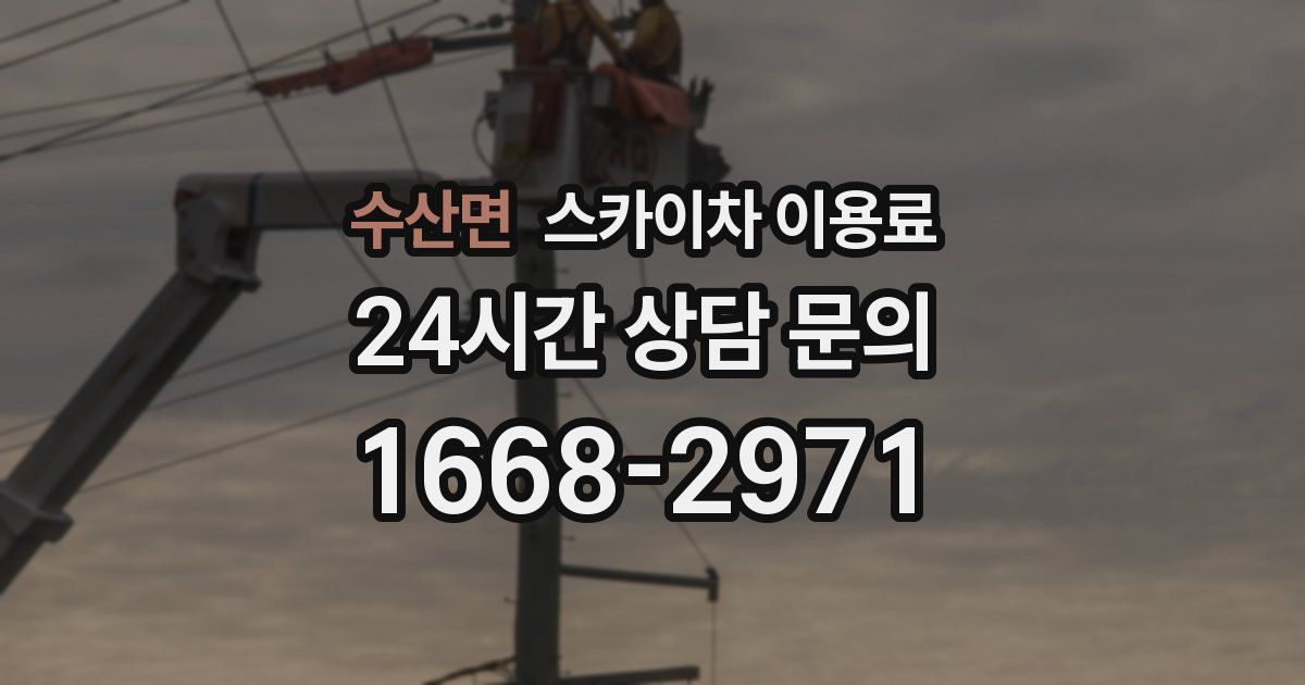 수산면 스카이차 이용료