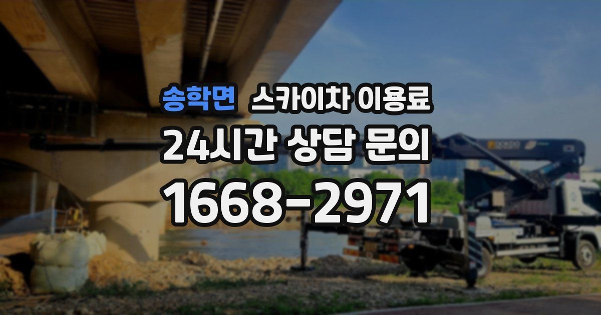 송학면 스카이차 이용료