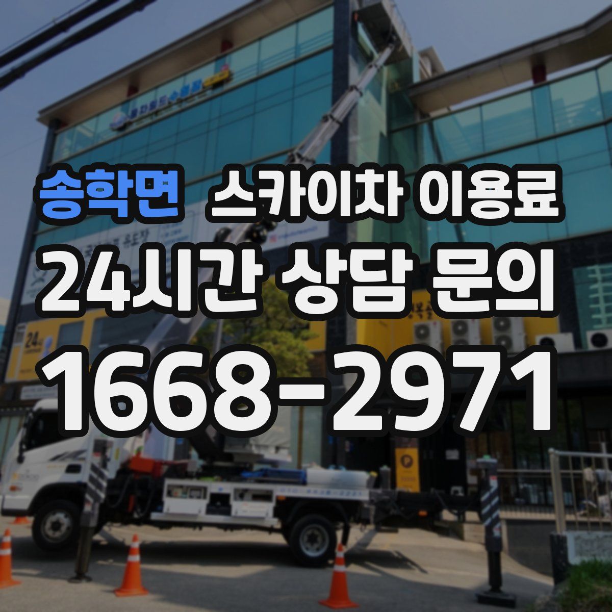 송학면 스카이차 이용료