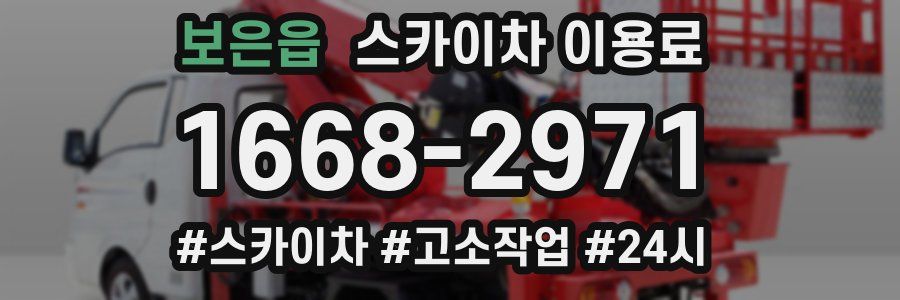 보은읍 스카이차 이용료