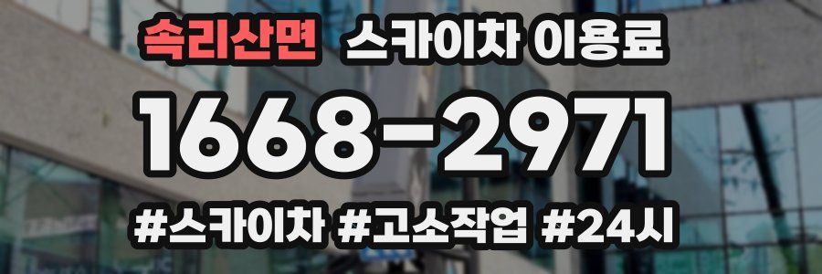속리산면 스카이차 이용료