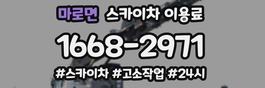 마로면 스카이차 이용료