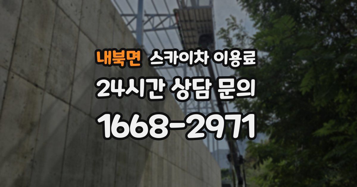 내북면 스카이차 이용료
