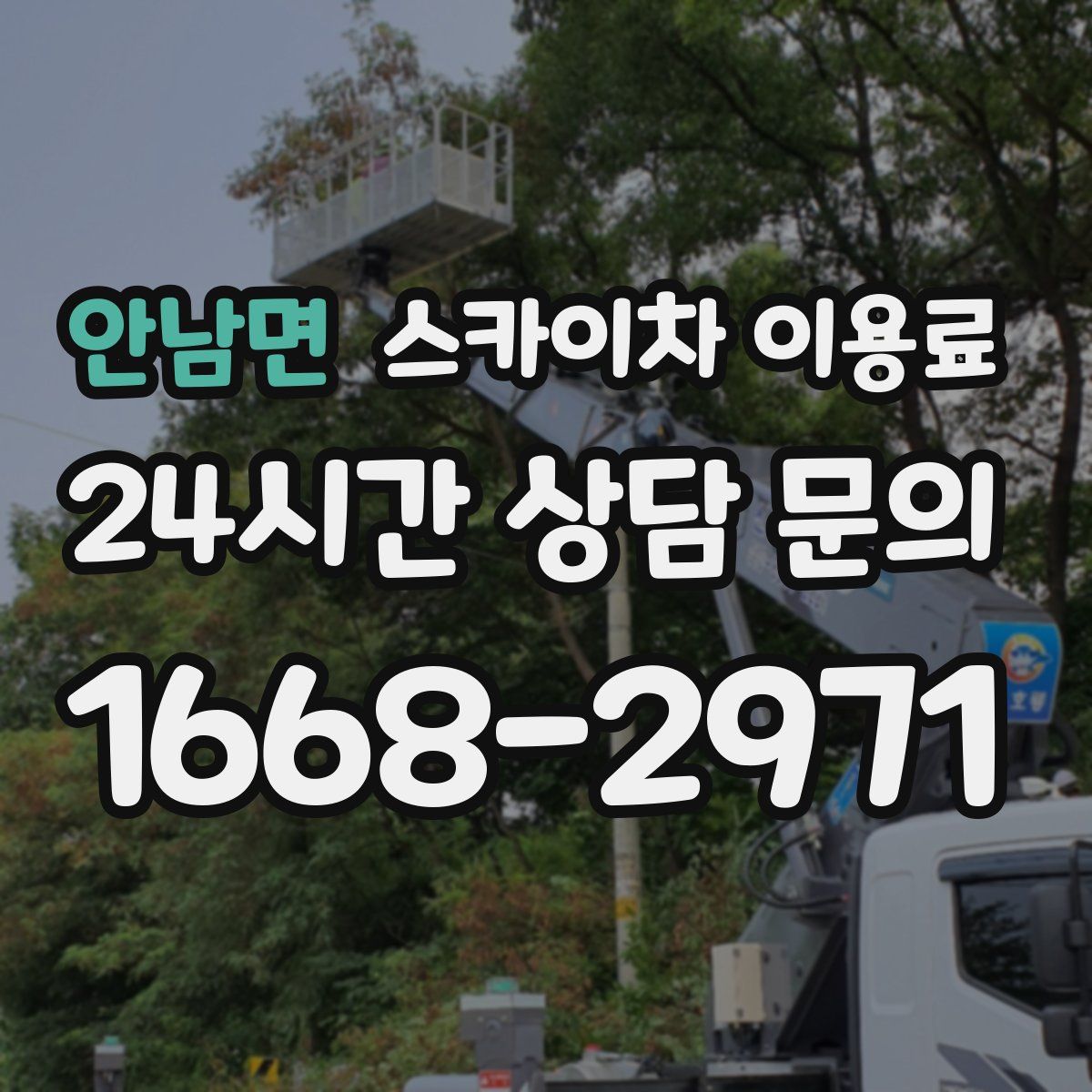 안남면 스카이차 이용료