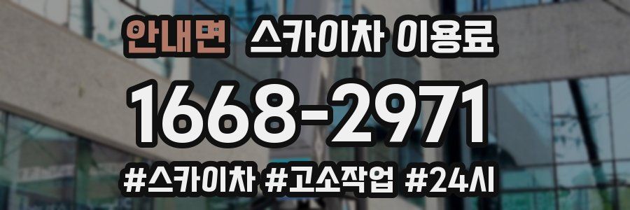 안내면 스카이차 이용료
