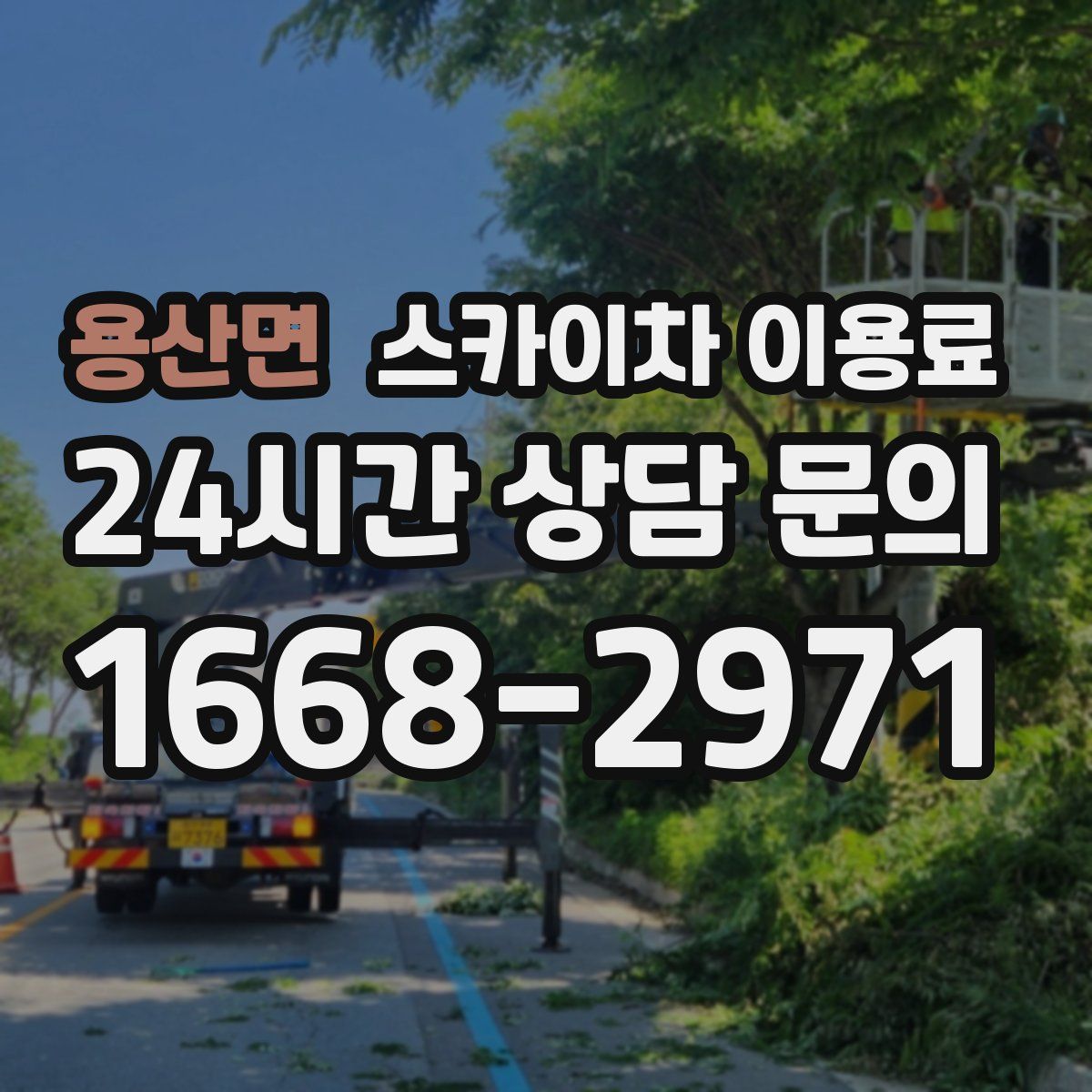 용산면 스카이차 이용료