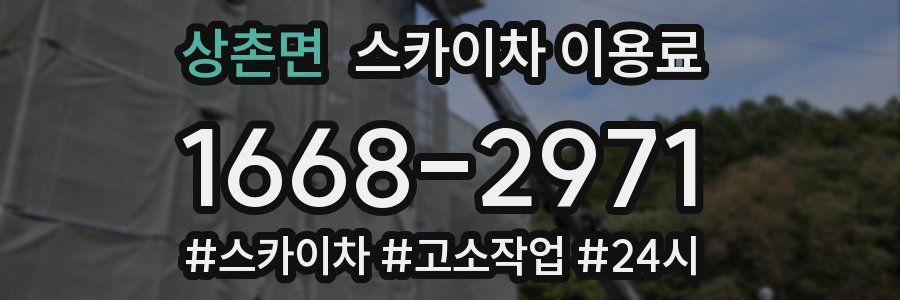 상촌면 스카이차 이용료