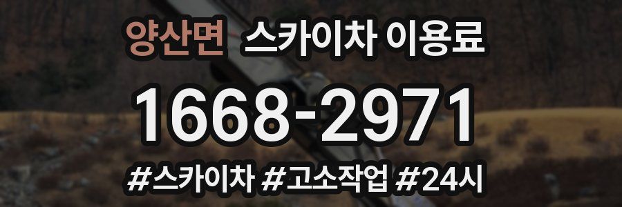 양산면 스카이차 이용료