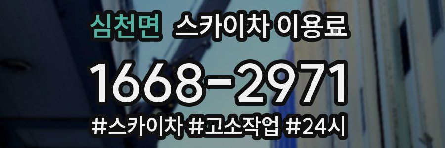 심천면 스카이차 이용료