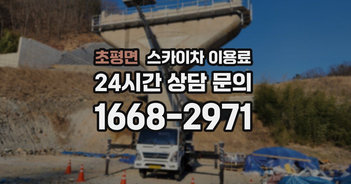 초평면 스카이차 이용료
