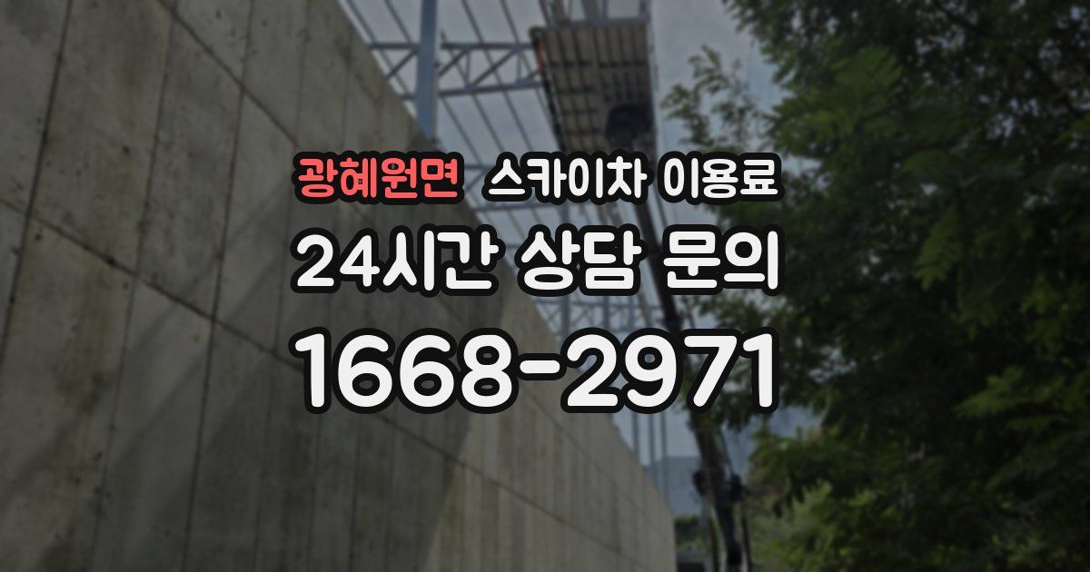 광혜원면 스카이차 이용료
