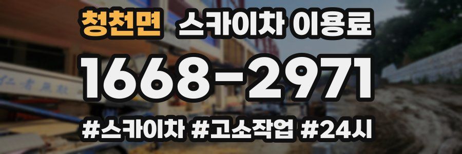 청천면 스카이차 이용료