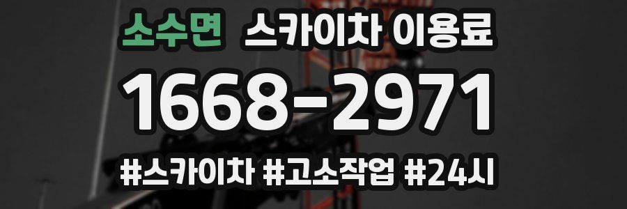 소수면 스카이차 이용료