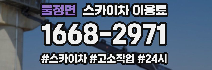 불정면 스카이차 이용료