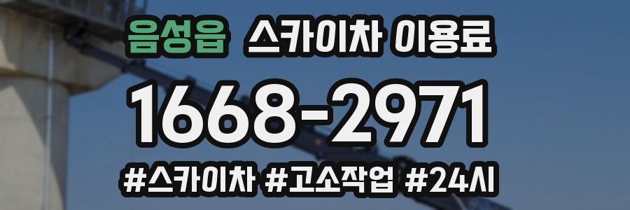 음성읍 스카이차 이용료