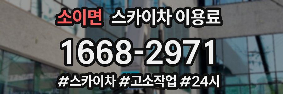소이면 스카이차 이용료