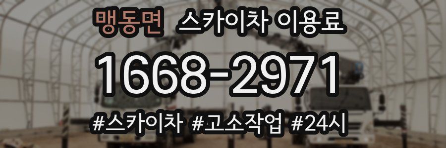 맹동면 스카이차 이용료
