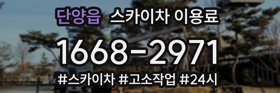 단양읍 스카이차 이용료