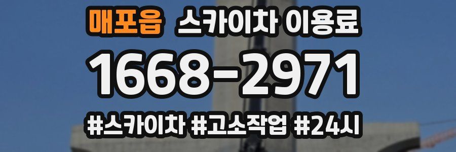 매포읍 스카이차 이용료
