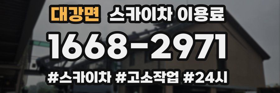 대강면 스카이차 이용료