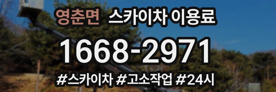 영춘면 스카이차 이용료
