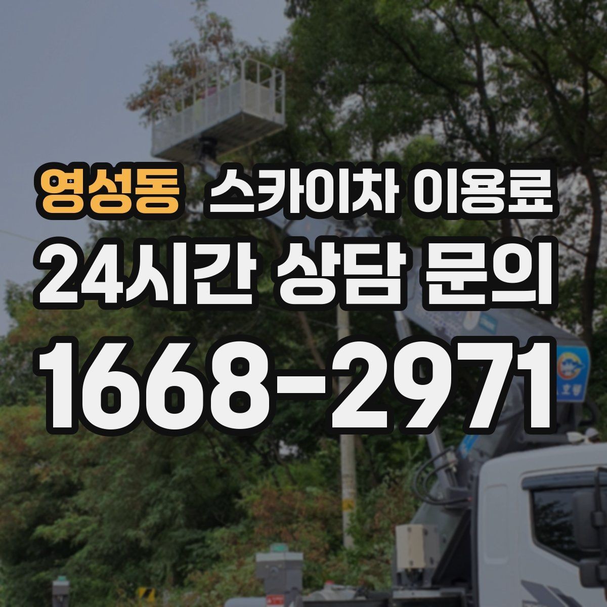 영성동 스카이차 이용료 안내에서 체크해야 할 실전 포인트