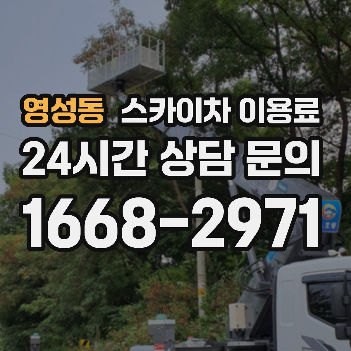 영성동 스카이차 이용료
