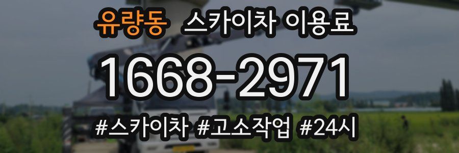 유량동 스카이차 이용료