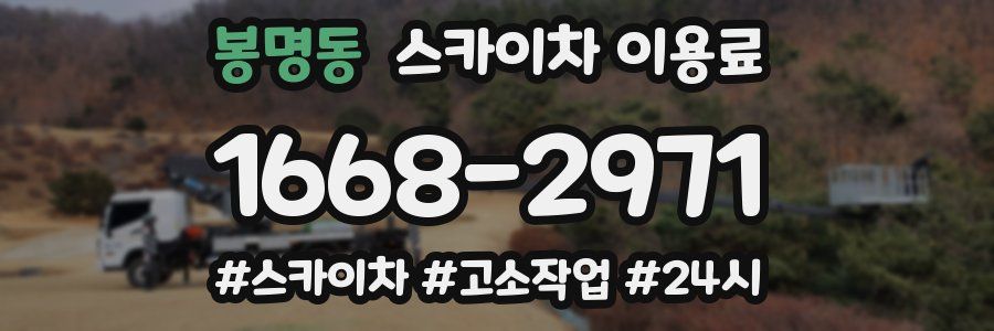 봉명동 스카이차 이용료