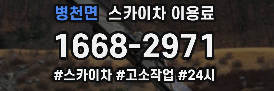 병천면 스카이차 이용료