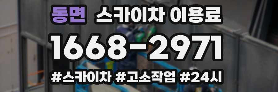 동면 스카이차 이용료