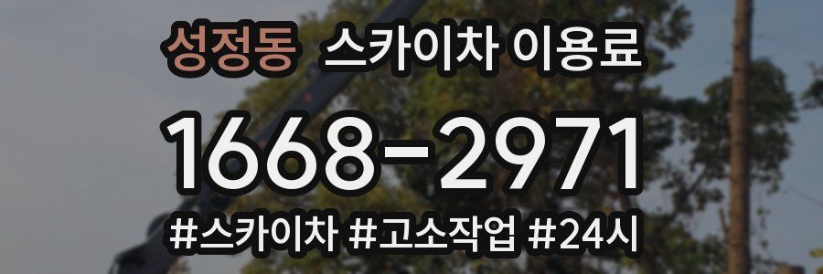 성정동 스카이차 이용료