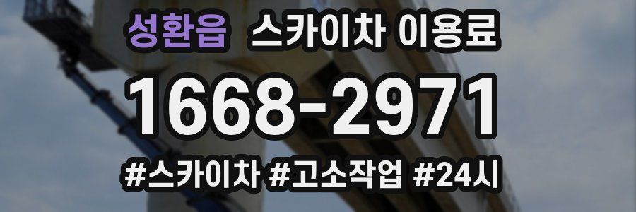 성환읍 스카이차 이용료