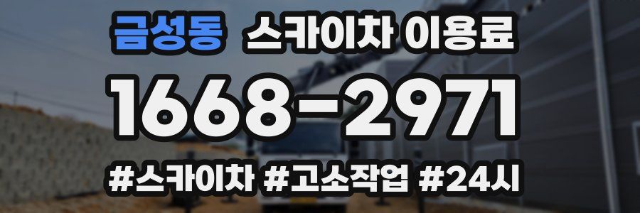 금성동 스카이차 이용료