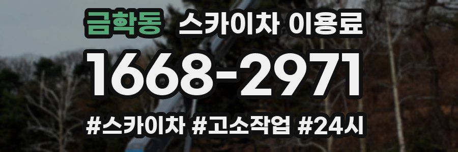 금학동 스카이차 이용료