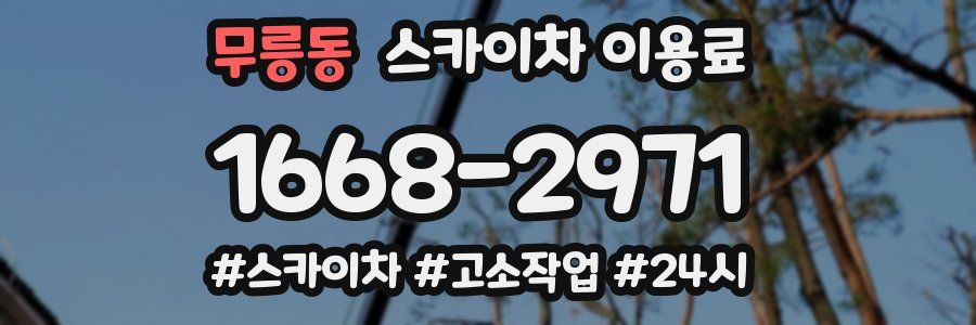 무릉동 스카이차 이용료