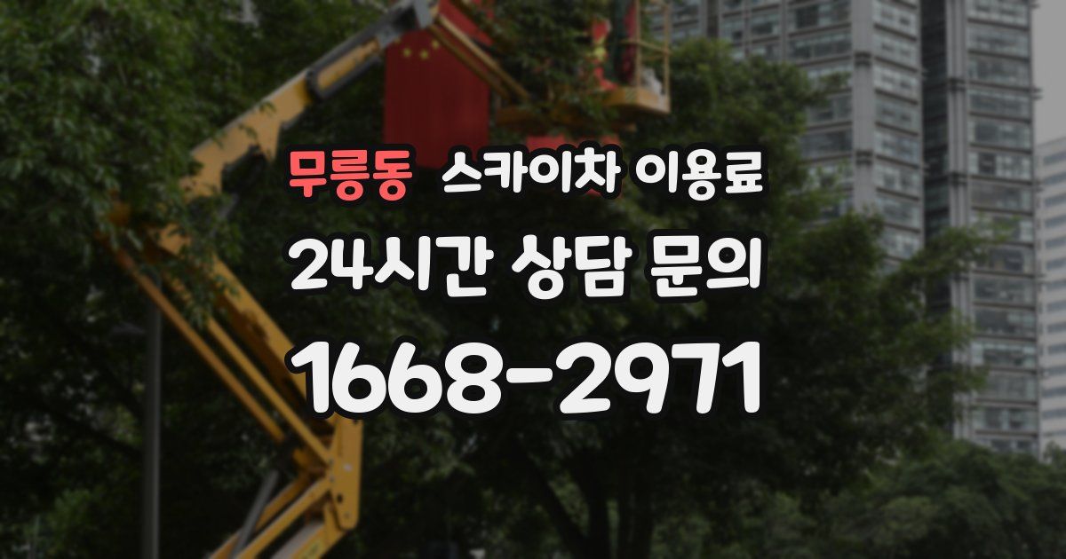 무릉동 스카이차 이용료
