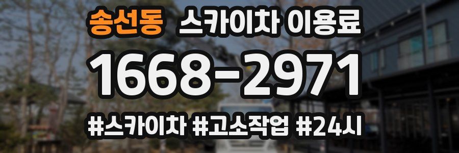 송선동 스카이차 이용료