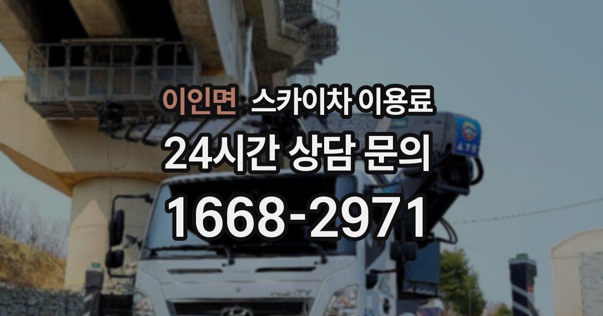 이인면 스카이차 이용료