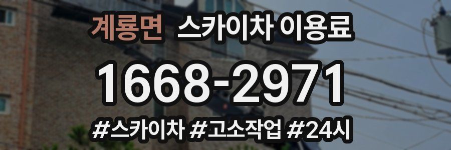 계룡면 스카이차 이용료