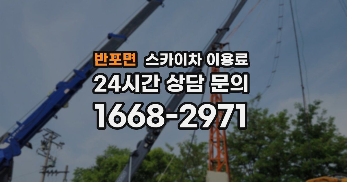 반포면 스카이차 이용료