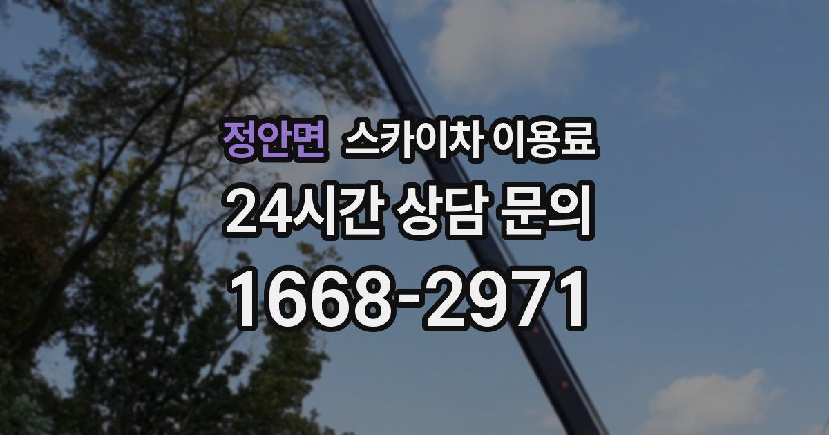 정안면 스카이차 이용료