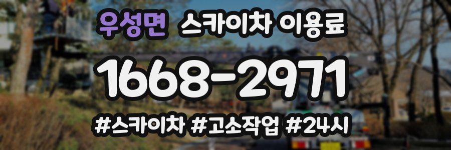 우성면 스카이차 이용료